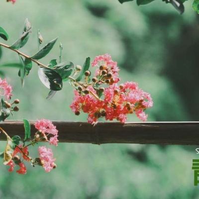 BOB体育综合app入口