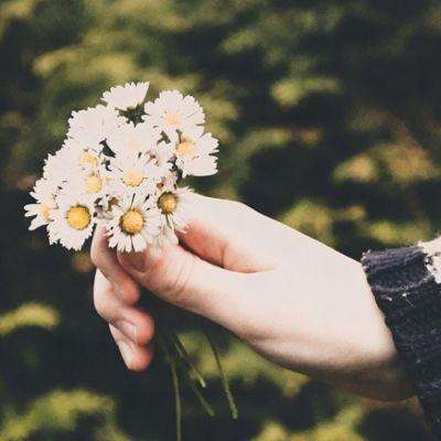 半岛网页版手机app下载