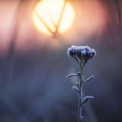 b体育官方APP下载安装