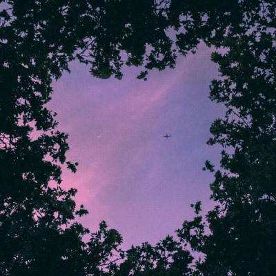 金沙集团186cc成色