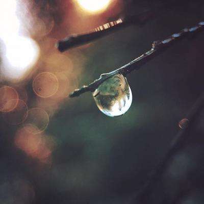 乐鱼竞彩官网app下载