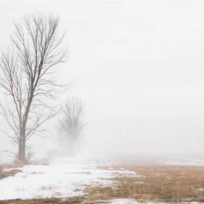 斗牛棋牌手机app下载